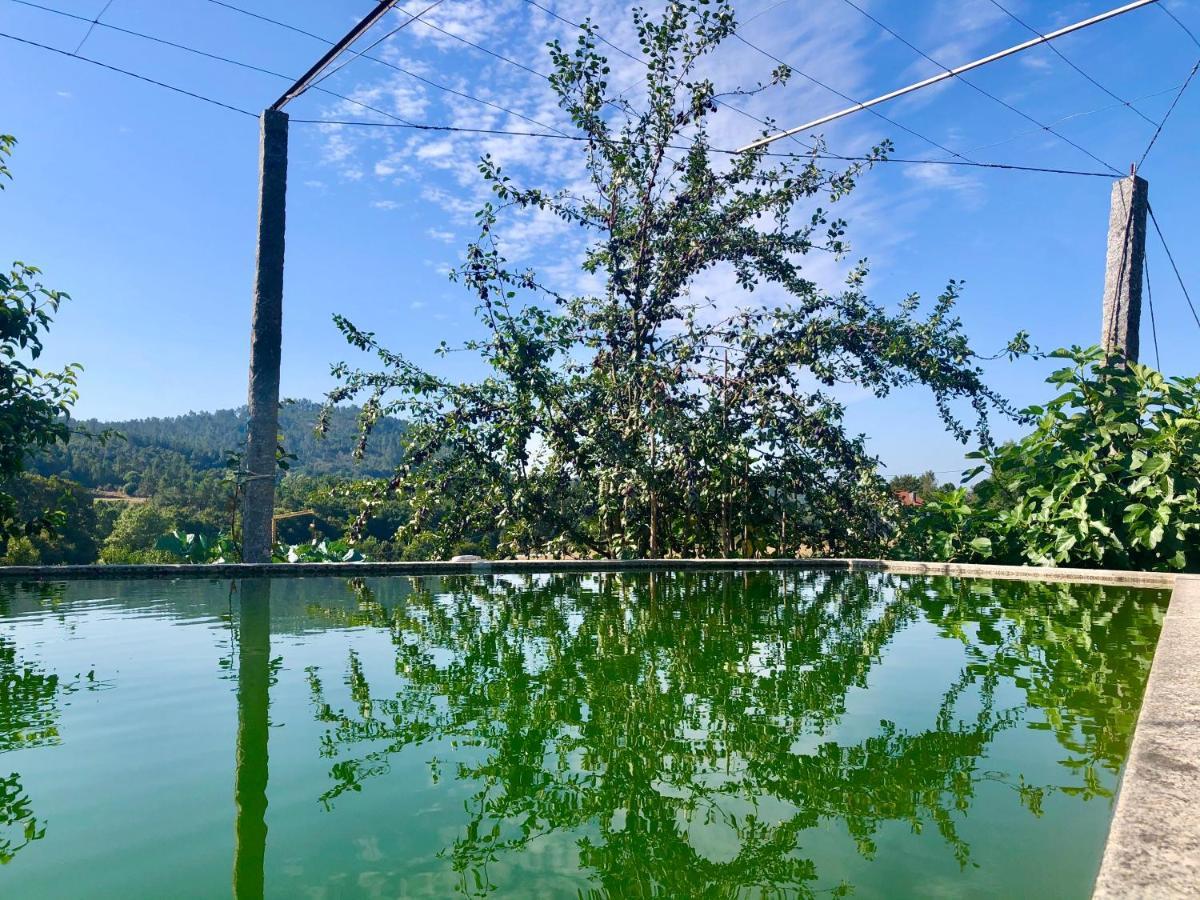 Casa Da Quinta Da Prelada Simao Villa Celorico De Basto Eksteriør billede